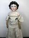16.5 Antique German Bisque China Head Doll 189-5 Pink Luster Original Body #a