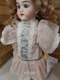 19 Handwerck Germany 119 Size 10 1/4 Early Bisque Head Doll, Amazing Dress