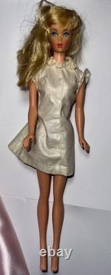 2 Vintage Rare Barbies Standard & Enchanted Porcelain (Read) See Photos