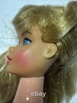 2 Vintage Rare Barbies Standard & Enchanted Porcelain (Read) See Photos