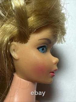 2 Vintage Rare Barbies Standard & Enchanted Porcelain (Read) See Photos