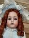 20 Abg 1362 Htf German Bisque Head Doll, Gorgeous Costume