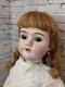 22 Waklure Germany Flawless Bisque Head Doll, Great Compo Body, Whitework Dress