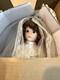 30 Porcelain Bride Doll Royal Heirloom Tomich W Coa Vintage Wedding