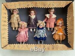 6 antique porcelain dolls in the original box Kühnlenz brothers