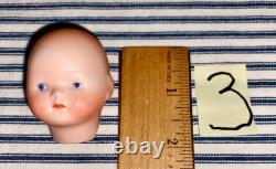 7 TINY German Bisque Head Baby Dolls, Herm Steiner, Armand Marseille, Rechnagel