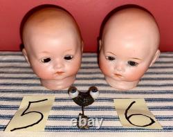 7 TINY German Bisque Head Baby Dolls, Herm Steiner, Armand Marseille, Rechnagel