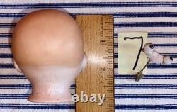 7 TINY German Bisque Head Baby Dolls, Herm Steiner, Armand Marseille, Rechnagel