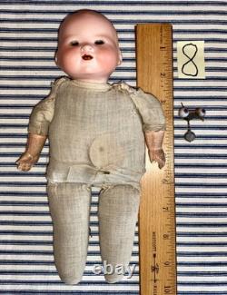 7 TINY German Bisque Head Baby Dolls, Herm Steiner, Armand Marseille, Rechnagel