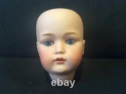 7 antique bisque doll head. Kestner #214