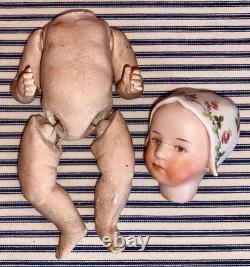 8 Gebruder Heubach BABY STUART German Bisque Head Doll, Germany Antique