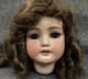 Cm Bergmann Simon & Halbig #14 Bisque Head Only For 30 Antique Doll + Wig