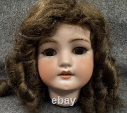 CM Bergmann Simon & Halbig #14 Bisque HEAD ONLY for 30 Antique Doll + Wig