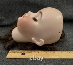 CM Bergmann Simon & Halbig #14 Bisque HEAD ONLY for 30 Antique Doll + Wig
