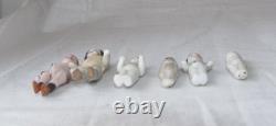 Lot of 6 Antique Miniature Bisque Dolls Unmarked German/Victorian Era