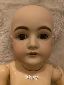 Pristine 23 1/2 Kestner 146 Orig. Spiral Curl Human Hair Wig Orig. Costume EXC