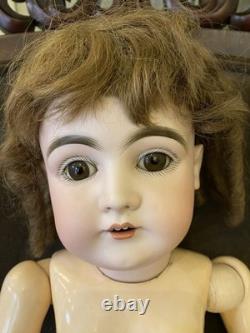 Pristine 23 1/2 Kestner 146 Orig. Spiral Curl Human Hair Wig Orig. Costume EXC