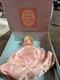 Ruth Gibbs Godey's Little Lady Jean Porcelain Doll With Soft Body 7