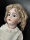 Stunning 26 Handwerck 119-13 Bisque Head Doll On Great Original Body