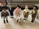 The Little Rascals Porcelain Dolls Hamilton Collection Vintage