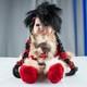 Vintage Native American Indian Porcelain Boy Papoose Cheyenne Doll
