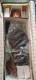 Very Rare #1 In Series Jan Mclean Porcelain Doll Matilda Ltd Ed 1/600 Vintage