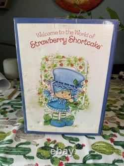 Vintage 2004 Strawberry Shortcake Blueberry Muffin Porcelain Doll by Danbury