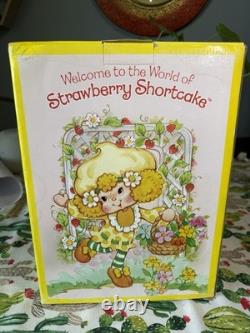 Vintage 2004 Strawberry Shortcake Lemon Meringue porcelain Doll By Danbury Mint