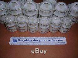 Vintage / Antique 30 Piece German Porcelain Canister Set Doll Size spice salt