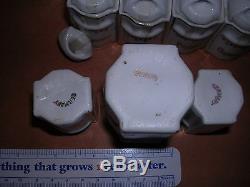 Vintage / Antique 30 Piece German Porcelain Canister Set Doll Size spice salt