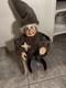 Vintage Faith Wick Originals Halloween Small People Witch #10 Rare Doll With Stand