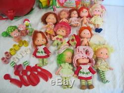Vintage Strawberry Shortcake Lot Garden House Dolls Pets Combs Accessories