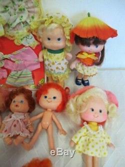 Vintage Strawberry Shortcake Lot Garden House Dolls Pets Combs Accessories