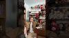 What It S Really Like Being An Antique Doll Collector