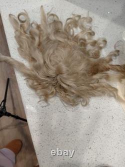 Étonnante poupée en tête de bisque Handwerck 119-13 de 26 pouces sur un grand corps d'origine