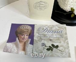 Franklin Mint Poupée Portrait en Porcelaine de la Princesse Diana, Dame de Galles, 17 pouces, Vintage