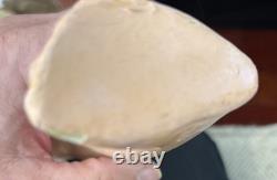 Pansy IV Allemagne Poupée Cheveux Bruns Plus de 20 Pouces Bisque Vintage