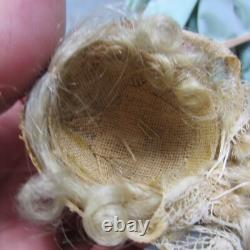 Poupée en biscuit à tête solide en dôme antique Bredermeir 12 LIRE Fissure de cheveux