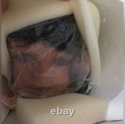 Poupée en porcelaine Anna de Danbury Mint, Collection Latino, COA 18, très rare vintage