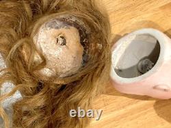 Poupée en porcelaine bisque antique rare Armand Marseille 19 Allemagne #3500 Am 1 Dep