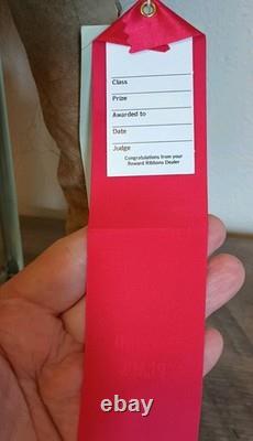 Poupée en porcelaine de chef indien amérindien faite main 22 pouces, prix de 2ème place